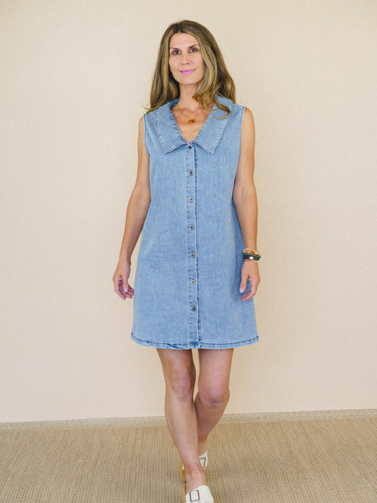 Just the Thing Dress - Denim